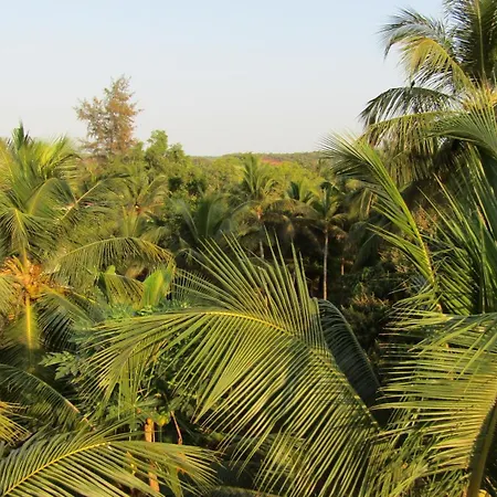 Pallavi Homestay Honavar Exterior photo