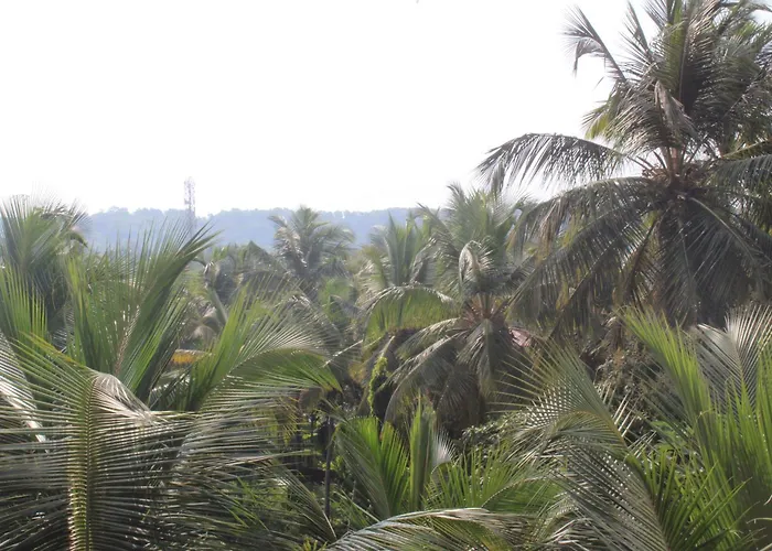 Pallavi Homestay