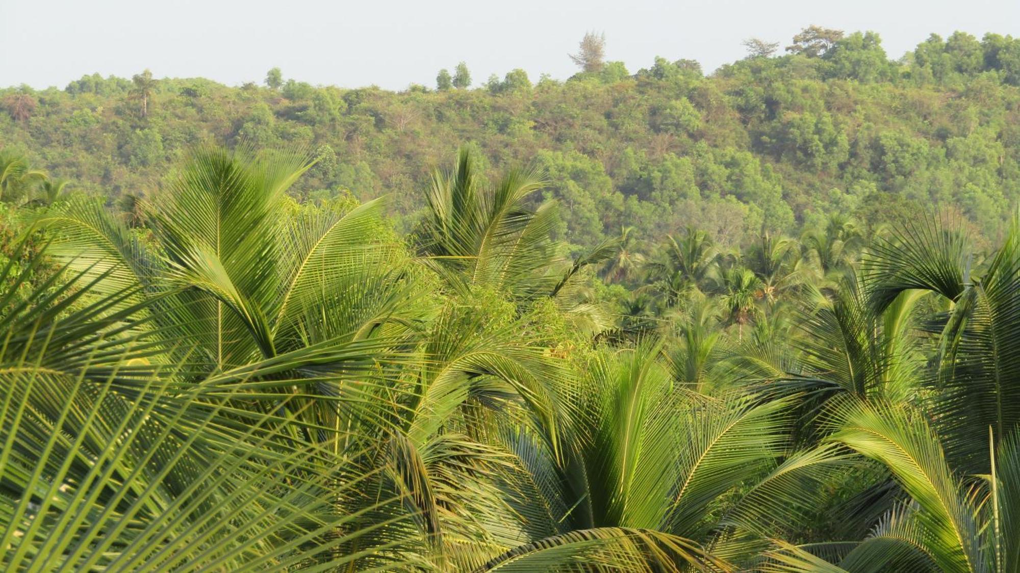 Homestay Pallavi Honavar